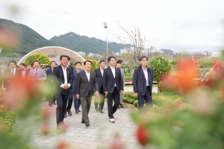 양산국화축제